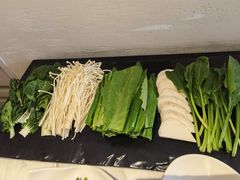 -汤城·料青山