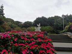 -金鸡山公园