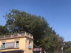 -上海佘山国家森林公园西佘山园