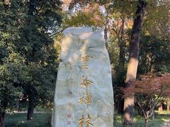 -灵谷景区