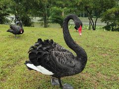 -福建鲤鱼洲酒店