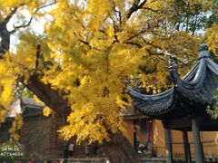 -无锡惠山寺