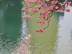 -红星桥(地铁站)