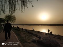 -丁香湖公园