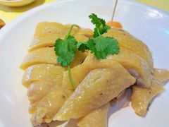 -新高记·粤菜·湛江鸡(南头古城店)