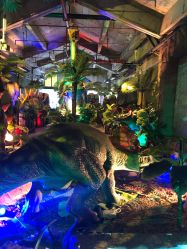 -恐龙探索乐园(磁器口店)