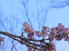 -杭州植物园