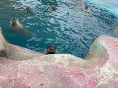 -北戴河圣蓝海洋公园