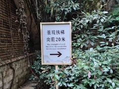 -千岛湖天屿景区