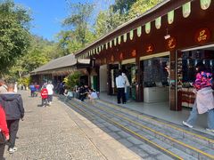 -野象谷景区