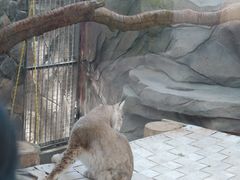 -青藏高原野生动物园
