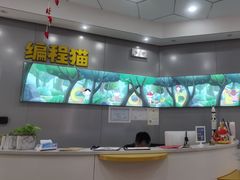-编程猫·少儿编程(绿宝校区)