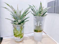 -雅克雅思(纱帽河店)
