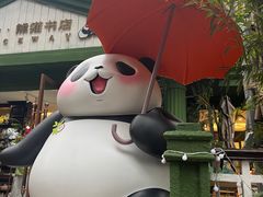 -轩客会(熊猫书店)