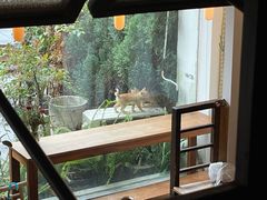 -知亘茶食