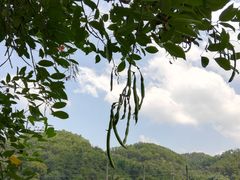 -红山村