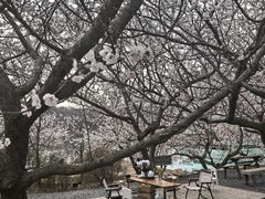 -大连北马山庄