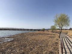 -绿堤公园