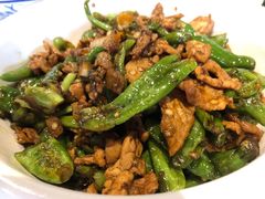 湘村黑猪辣椒炒肉-壹盏灯(惠农店)
