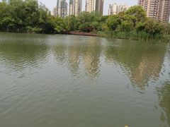 -青枫公园