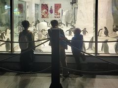 -大连圣亚海洋世界