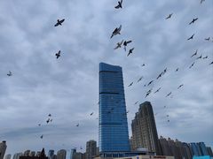 -大连亿锋豪景酒店