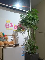 -MB·nail美甲美睫