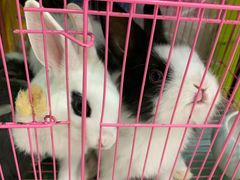 -兰木肆·云南菜(龙湖U城天街店)