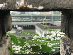 -顺心拉面馆(马道街店)