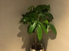 -泰合玺·精油疗愈 SPA(南京河西万达店)