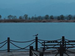 -野鸭湖国家湿地公园