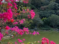 -云溪植物园