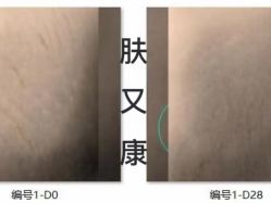 -天其美科学美肤·生发健康管理