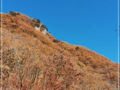 -关门山森林公园