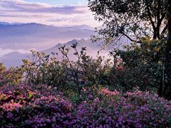 -梧桐山风景名胜区
