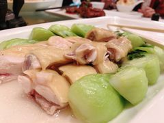 广州文昌鸡-广州酒家(文昌总店)