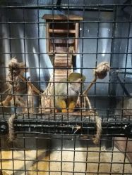 点击看大图 -酷嗒动物文化乐园(cutezoo西溪乐天城店)