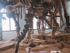 -自贡恐龙博物馆