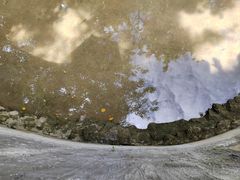 -野象谷景区