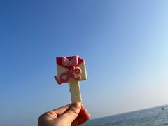 -玫瑰海岸文化旅游度假区