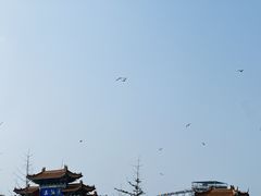 -海驴岛(荣成市)