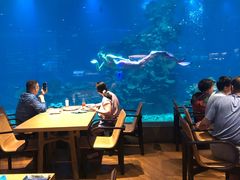 -海棠湾洲际-涛·海底餐厅·美人鱼·自助餐·海底隧道