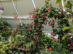 -南宫五洲植物乐园