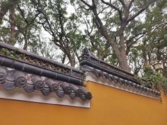 -普陀山风景名胜区-法雨禅寺