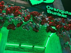 -Orangutan Bunker猩猩地堡酒吧(兰桂坊店)