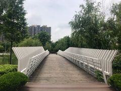 -南翔镇银翔湖公园