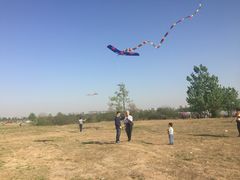 -汉长安城未央宫国家考古遗址公园