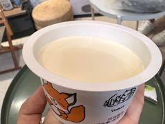 -狐狸家·酸奶酪专门店(平江路店)