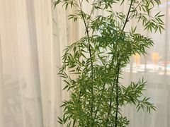 -上地宴·中关村的会客厅(清河高铁站店)