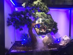 -绿茶餐厅(成都大悦城店)